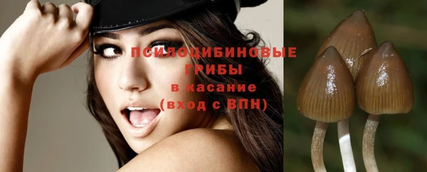 ALPHA-PVP Пролетарск