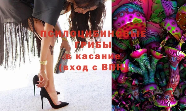 гашик Покачи