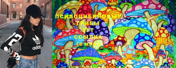 не бодяженный Заводоуковск