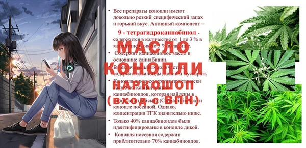 не бодяженный Заводоуковск