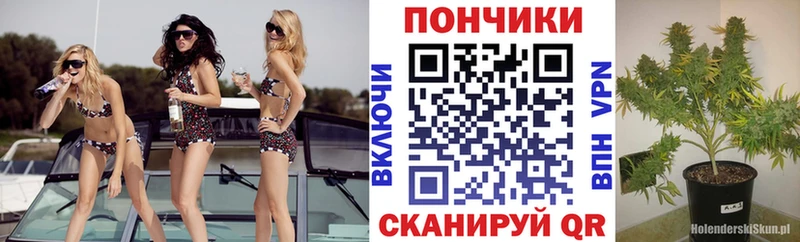 как найти закладки  Сенгилей  ссылка на мегу зеркало  Шишки марихуана индика 